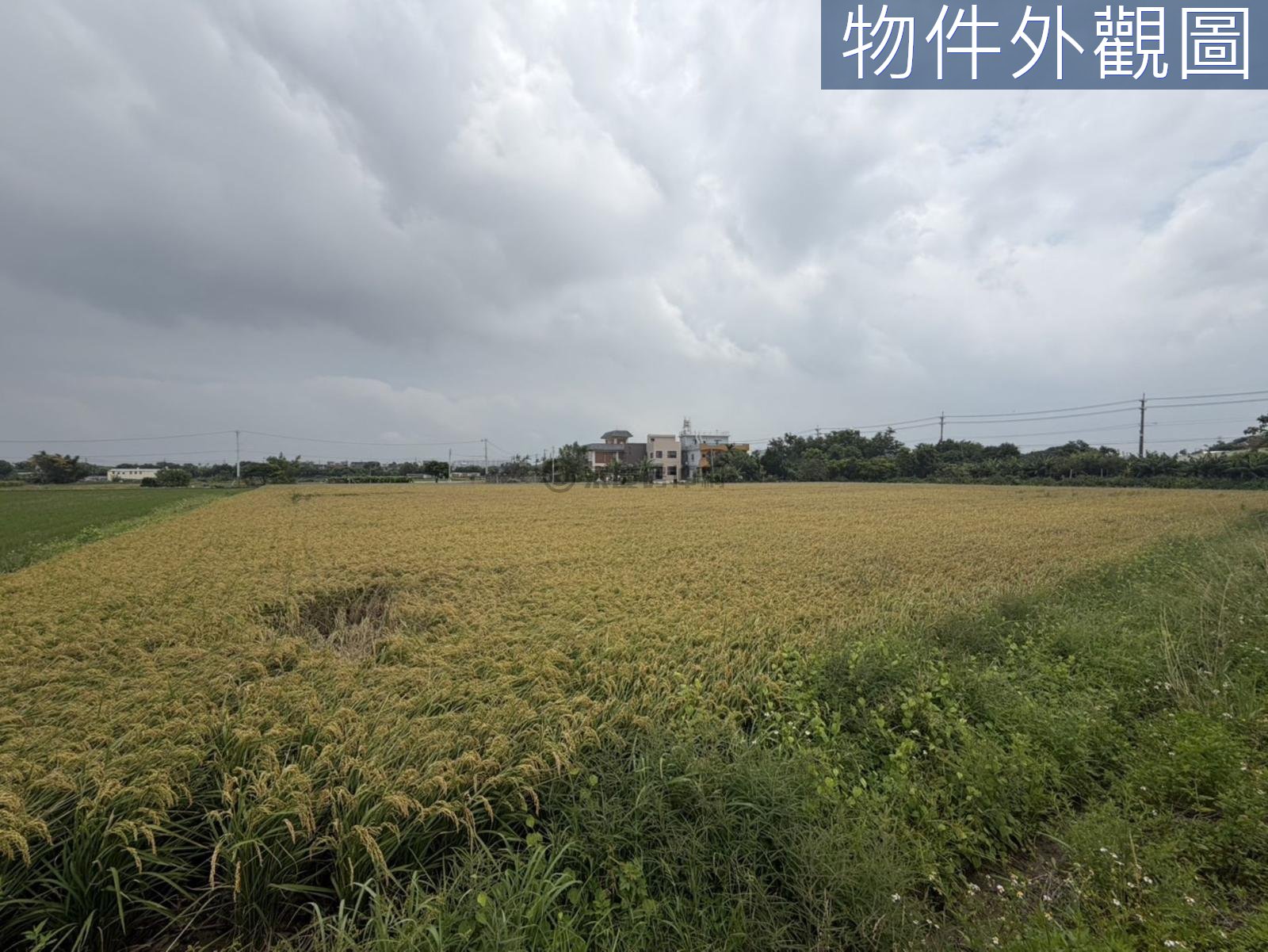 楊梅臨路農地/投資/置產/小坪數好入手