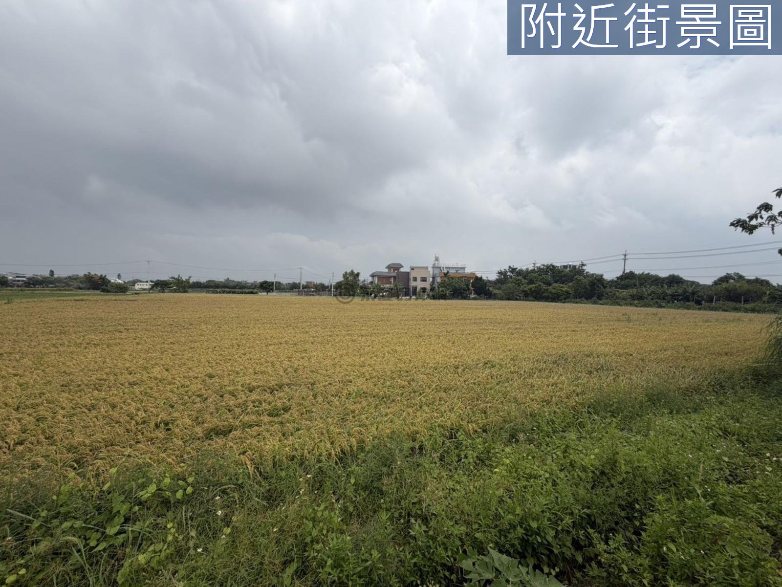 楊梅臨路農地/投資/置產/小坪數好入手 第 2 張