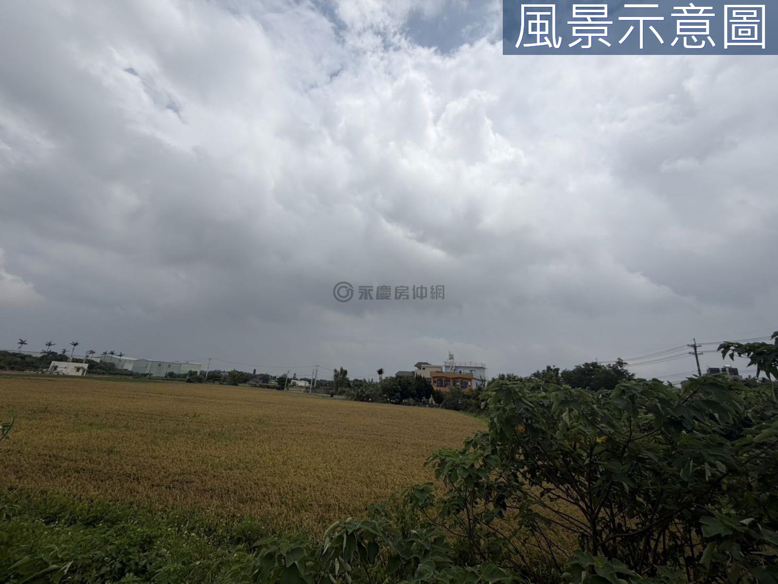 楊梅臨路農地/投資/置產/小坪數好入手 第 3 張