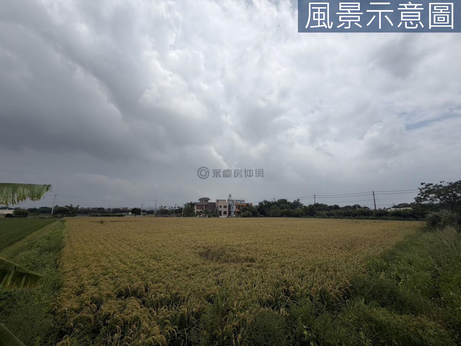 楊梅臨路農地/投資/置產/小坪數好入手 第 4 張